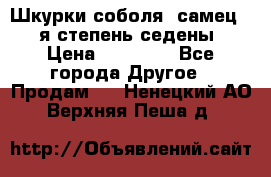 Шкурки соболя (самец) 1-я степень седены › Цена ­ 12 000 - Все города Другое » Продам   . Ненецкий АО,Верхняя Пеша д.